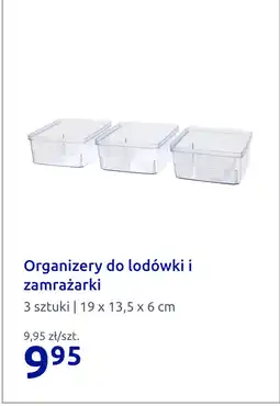 Action Organizery do lodówki i zamrażarki oferta
