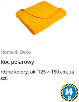 Tedi Koc polarowy oferta
