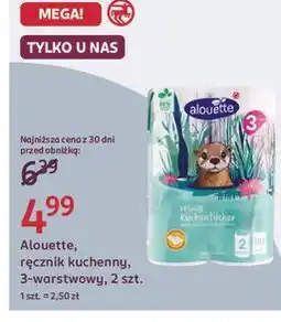 Rossmann Alouette, ręcznik kuchenny, 3-warstwowy, 2 szt oferta