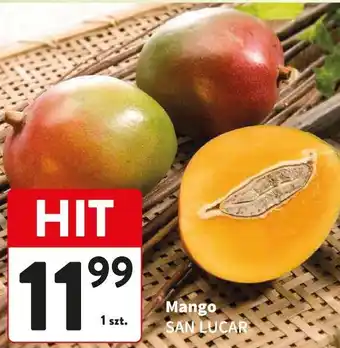 Mango SAN LUCAR