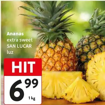 Ananas extra sweet SAN LUCAR luz