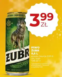 Duży Ben Piwo Żubr oferta