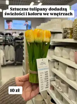 Pepco Sztuczne tulipany oferta