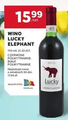 Stokrotka Wino Lucky Elephant oferta