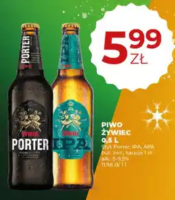 Duży Ben Piwo Żywiec IPA oferta