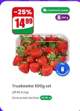 Dino Truskawka oferta
