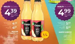 Duży Ben Nektar Cappy jabłkowy oferta