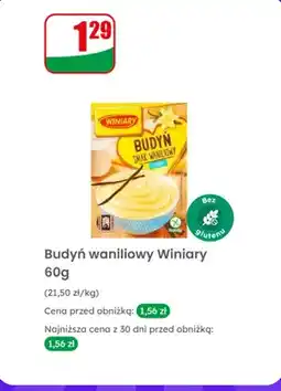 Dino Budyń waniliowy oferta