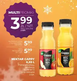 Duży Ben Nektar jabłkowy oferta