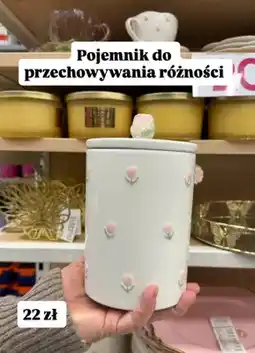 Pepco Pojemnik do przechowywania w kwiaty oferta