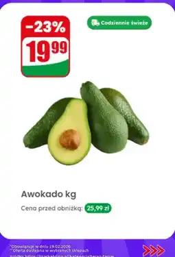 Dino Awokado oferta