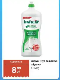 Dino Płyn do naczyń miętowy oferta