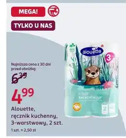 Rossmann Ręcznik kuchenny oferta