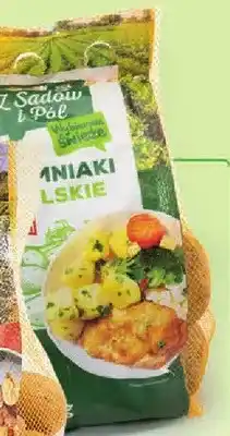 Intermarche Ziemniaki polskie oferta