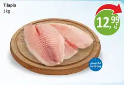 Sklepy S Tilapia oferta