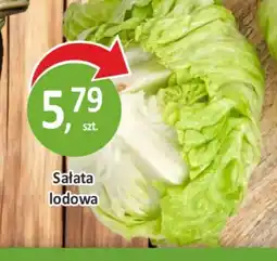 Sklepy S Sałata lodowa oferta