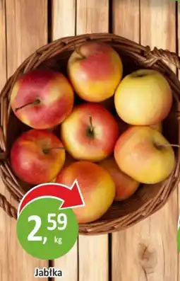 Sklepy S Jabłka oferta