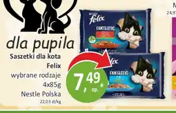 Sklepy S Felix Saszetki dla kota oferta