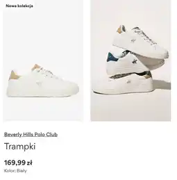 CCC Beverly Hills Polo Club Trampki oferta