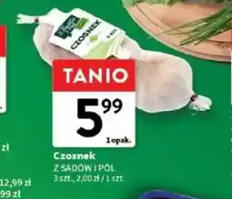 Intermarche Czosnek oferta