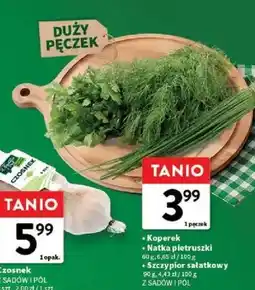 Intermarche Koperek, natka pietruszki, szczypior sałatkowy oferta