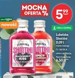 Żabka Lubelska Shottini oferta