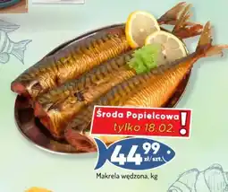 Avita Makrela wędzona oferta