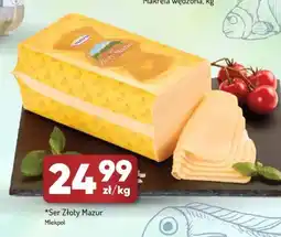 Avita Ser Złoty Mazur Mlekpol oferta