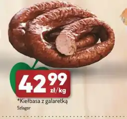 Avita Szlagor Kiełbasa z galaretką oferta