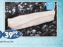 Avita Ryba Miruna filet oferta