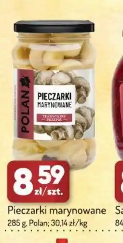Avita Polan Pieczarki marynowane oferta