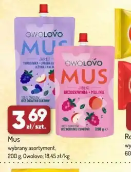 Avita Owołovo Mus oferta