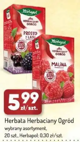 Avita Herbapol Herbata Herbaciany Ogród oferta