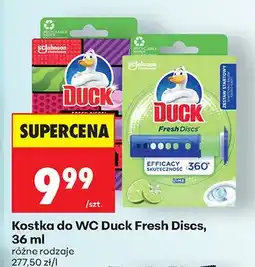 Biedronka Kostka do WC Fresh Discs różne rodzaje oferta