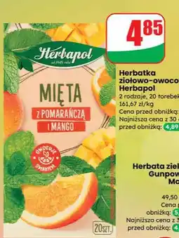 Dino Herbatka ziołowo-owocowa mięta z pomarańczą i mango oferta
