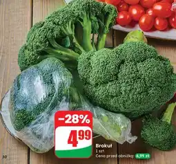 Dino Brokuł 1 szt oferta