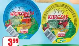 Dino Kurczak w galarecie oferta