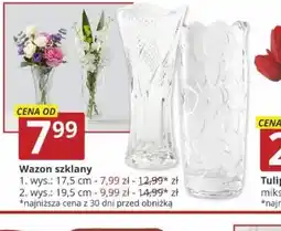 Prymus-AGD Wazon szklany oferta
