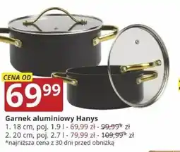 Prymus-AGD Garnek aluminiowy Hanys oferta