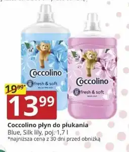 Prymus-AGD Coccolino płyn do płukania oferta