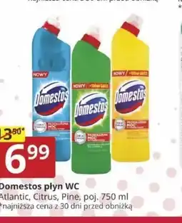 Prymus-AGD Domestos płyn WC oferta