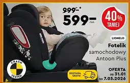 Biedronka Fotelik samochodowy Antoon Plus oferta