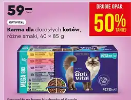 Biedronka Karma dla dorosłych kotów, różne smaki, 40 × oferta