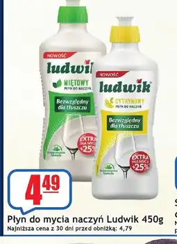 Sezamek Ludwik płyn do mycia naczyń oferta