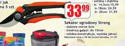 Sezamek Sekator ogrodowy Strong oferta
