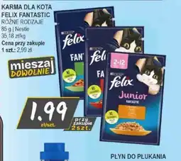 Słoneczko Felix Fantastic karma dla kota oferta
