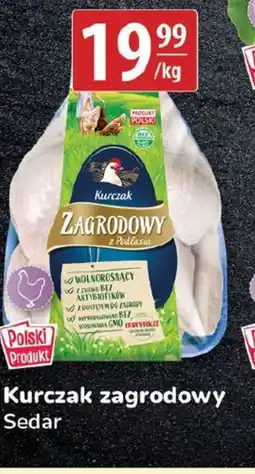 API MARKET Sedar Kurczak zagrodowy oferta
