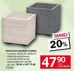 Selgros Doniczka oferta