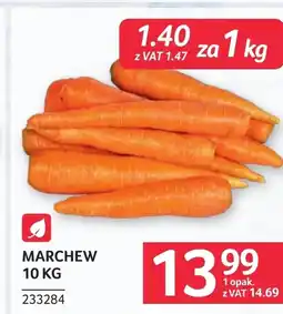 Selgros Marchew oferta