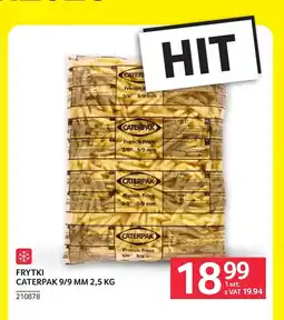 Selgros Frytki Caterpak oferta